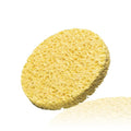Cleansing Sponge